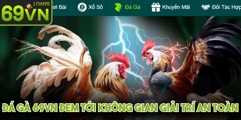 Đá gà 69VN đem tới không gian giải trí an toàn, kịch tính nhất